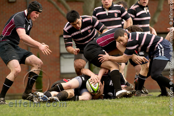 110305_019_rugby_UPS-seattle-univ