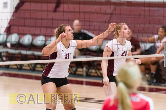 160903_0021_UPS-Loggers-volleyball