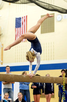 2013 Gymnastics